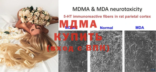 мяу мяу мука Аркадак